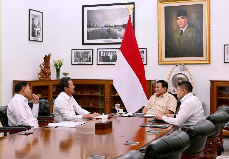 aali3.jpg