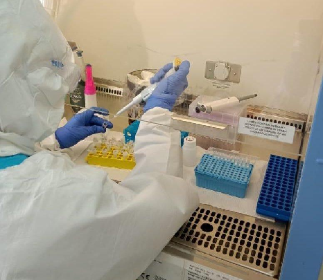 pcr.png