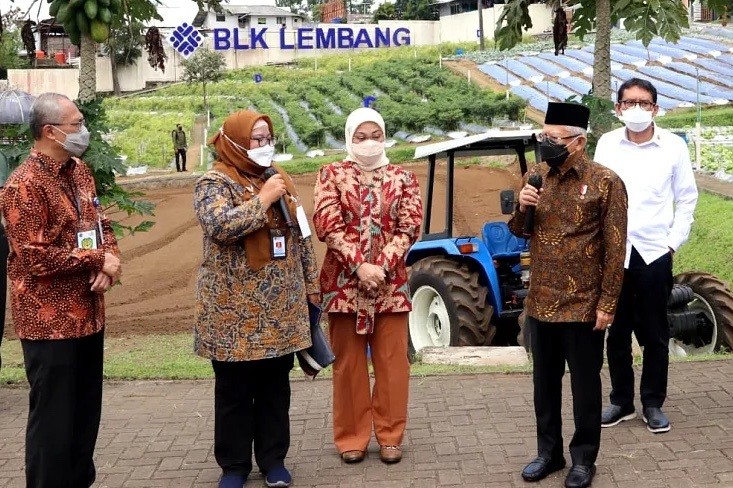 wp57.jpg