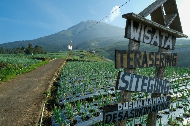 Mengenal Micro-Tourism: Tren Baru Liburan Hemat