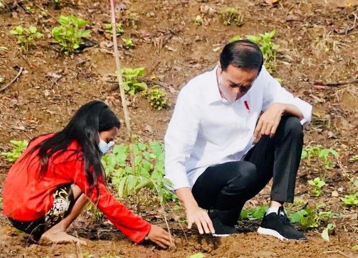 Presiden Tanam Pohon Bersama Masyarakat NTB